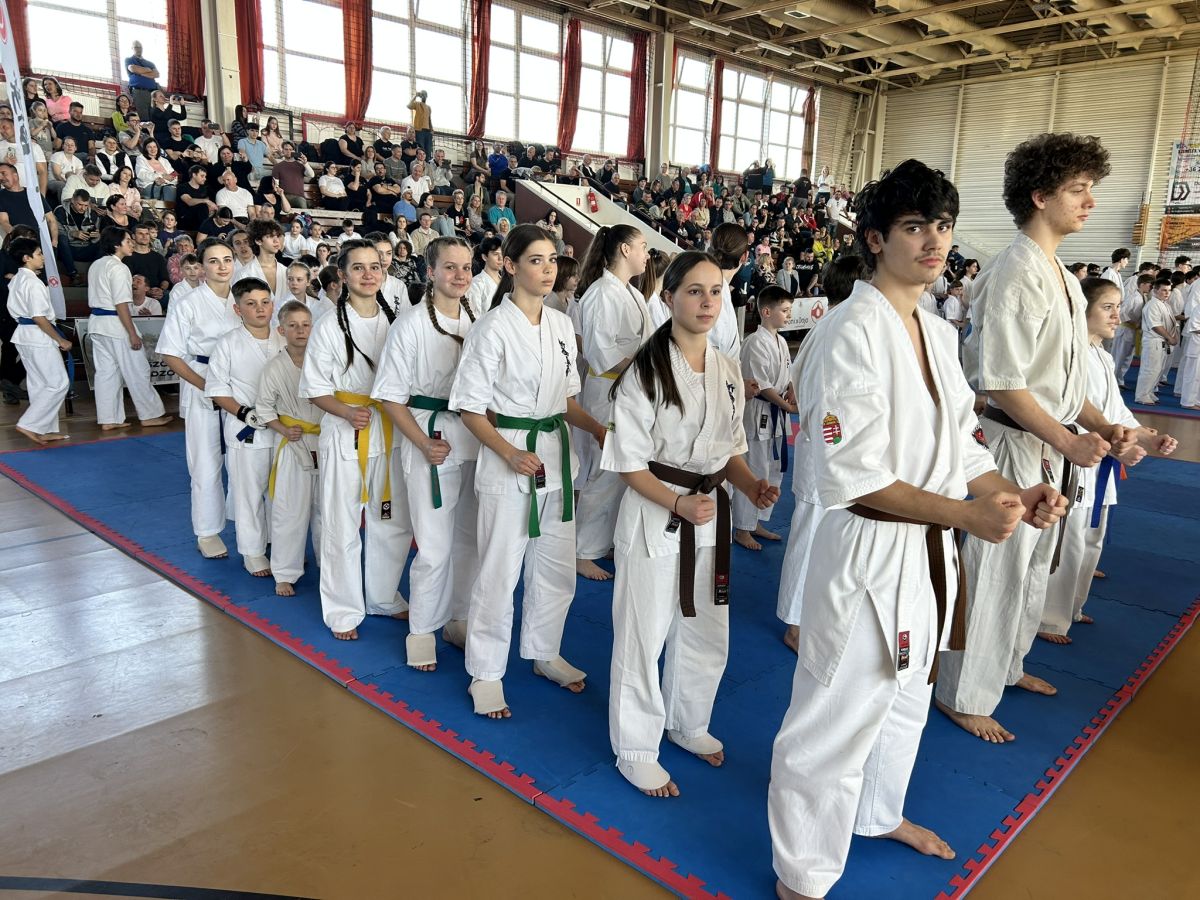 castrumosok varpalotan